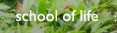 school of life