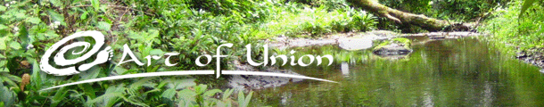 The Art of Union